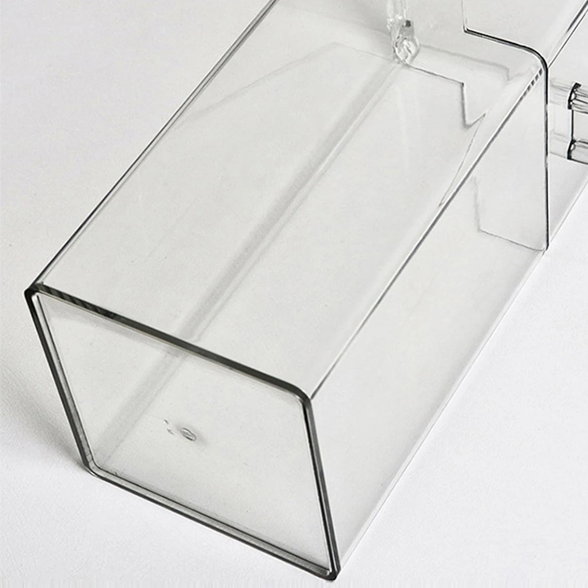 Clear Dustproof Makeup Brush Organizer Box - Image 5
