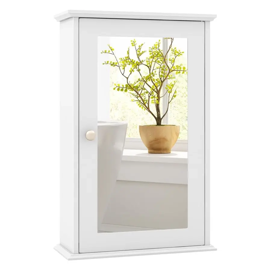 Single Door Mirror Medicine Cabinet