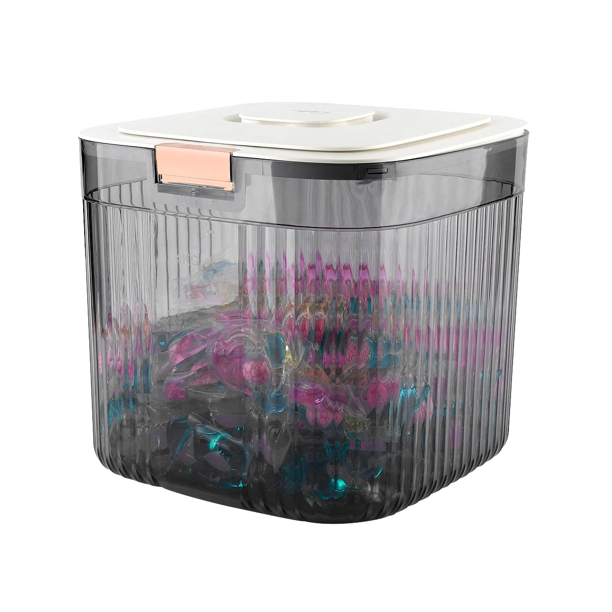 Laundry Pods and Powder Storage Container - Image 2